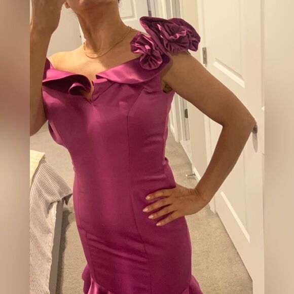 Dalia MacPhee dress size 4 - Picture 5 of 8